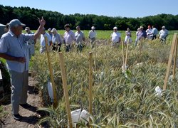 Щорічний традиційний огляд дослідів кафедр
